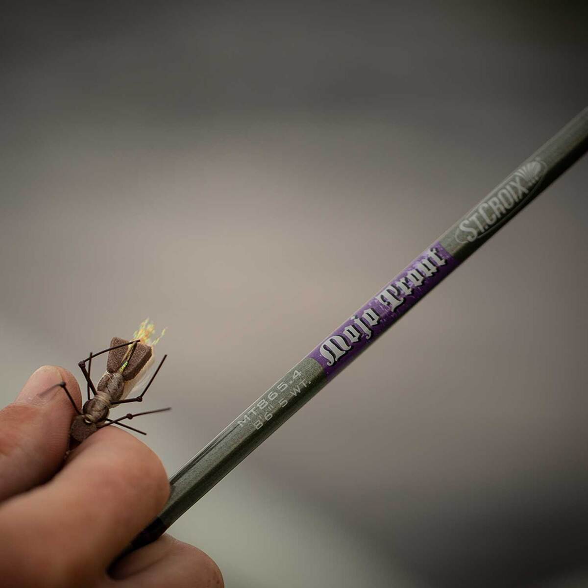 St. Croix Mojo Trout Fly Rod